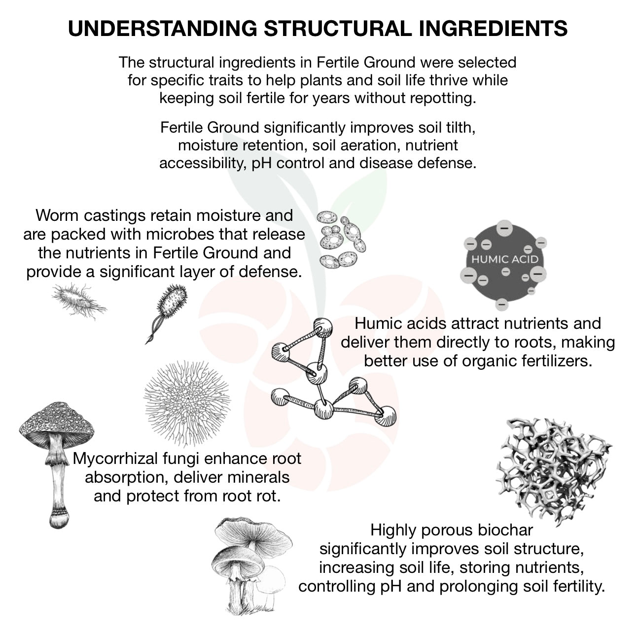 Fertile Ground