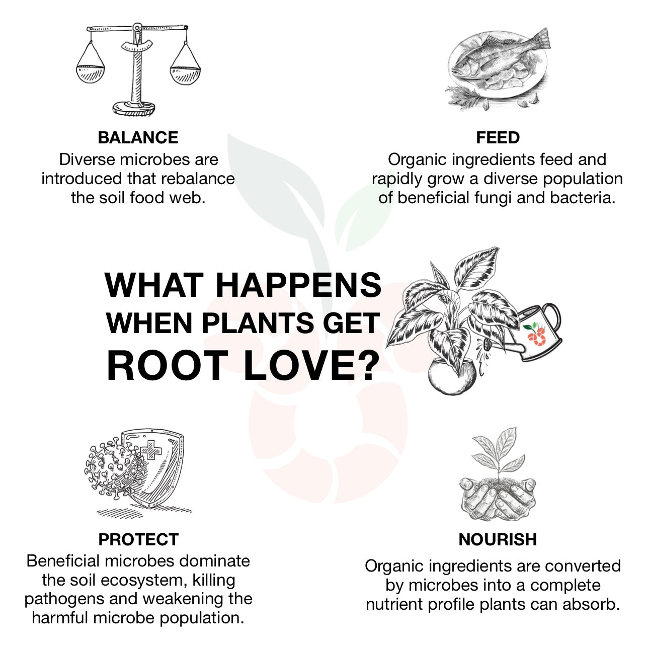 Root Love - Liquid Only